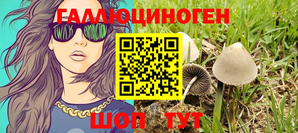Галлюциногенные грибы Magic Shrooms Шахты